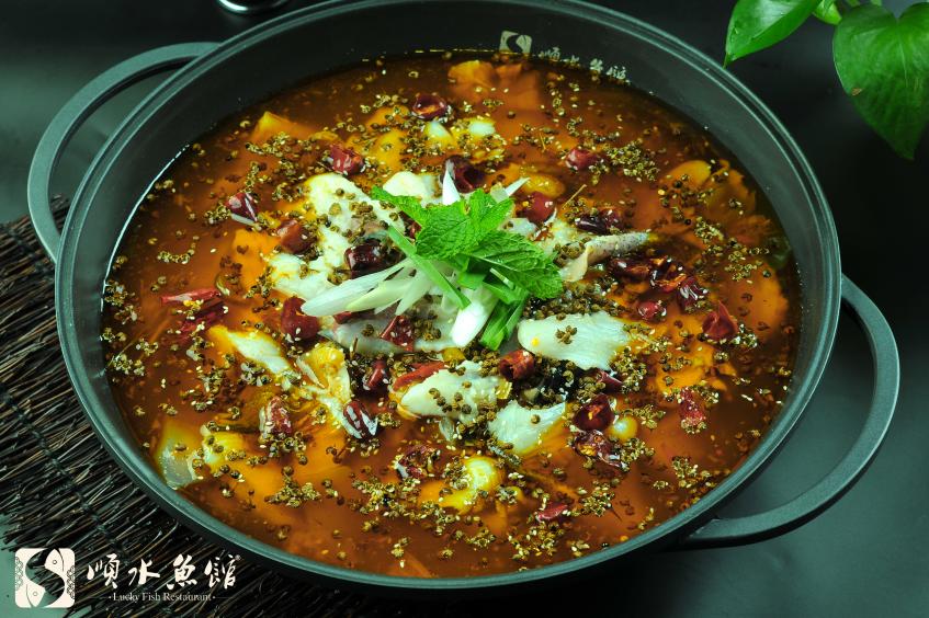 加盟哪個魚店比較好