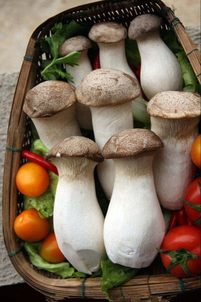 加盟順?biāo)~火鍋賺錢嗎 生意好不好做