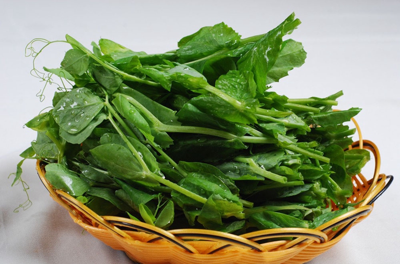 順?biāo)~縣級加盟費要多少 可以在縣級城市開店嗎